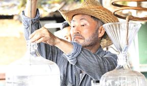 Hawaii 5-0 III (12)