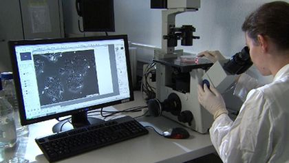 Pilulky, pudry, balzámy - historie farmacie