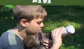Kdo chce s vlky žíti
