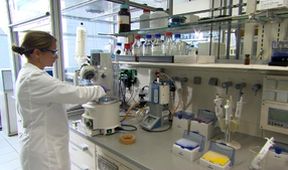 Pilulky, pudry, balzámy - historie farmacie
