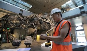 Jak zrekonstruovat dinosaura