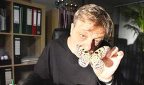 Roznese tě na kopytech