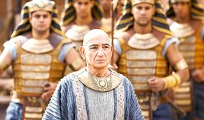 Tut (1)