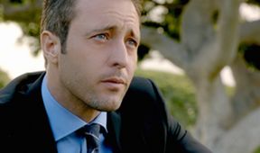 Hawaii 5-0 V (5)