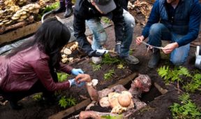 Hannibal (3)