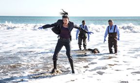 Rizzoli & Isles: Vraždy na pitevně IV (2)