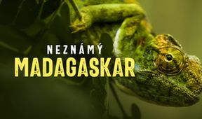 Neznámý Madagaskar (2/2)