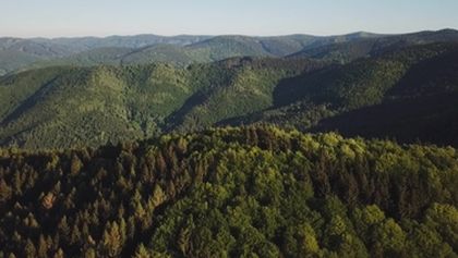 Hranica v srdci