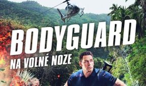 Bodyguard na volné noze