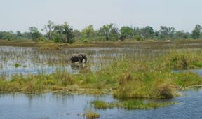 Velkolepá Afrika (2)