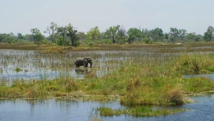 Velkolepá Afrika (2)