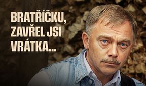 Bratříčku, zavřel jsi vrátka...