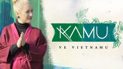 KAMU ve Vietnamu