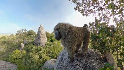 Serengeti III, Zázračná planeta (3/6)