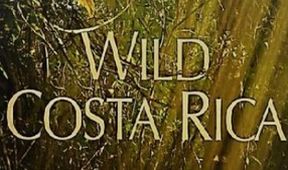 Wild Costa Rica