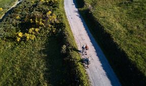 Camino na kolečkách