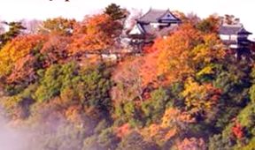 Japonsko: Kouzlo ročních období (2)
