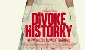 Divoké historky, Kino Art