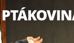 Ptákovina