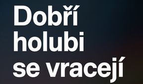 Dobří holubi se vracejí