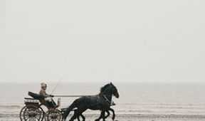 Sanditon II, V záři seriálů (5/6)