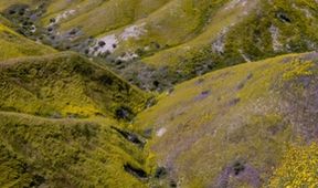 Planeta Kalifornie (1/2)