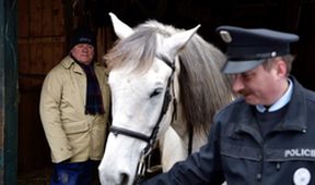 Strážmajster Topinka (7)