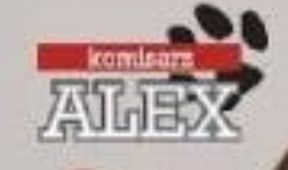 Komisarz Alex