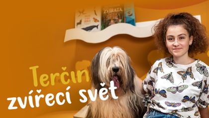 Terčin zvířecí svět