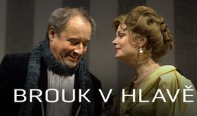 Brouk v hlavě, Z první řady...