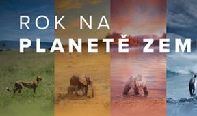 Rok na planetě Zemi (4/6)