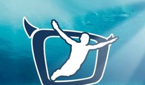 TV total Turmspringen