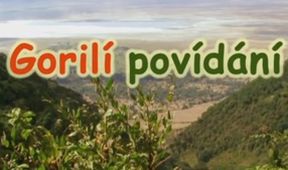 Gorilí povídání, Večerníček