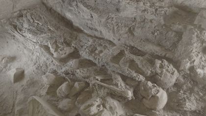 Ztracené poklady Egypta (3)