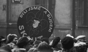 Hledání lilie