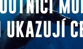 Poutníci moří nám ukazují cestu