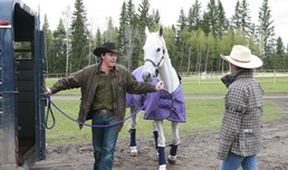 Ranč Heartland II (16/18)