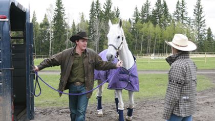 Ranč Heartland II (16/18)