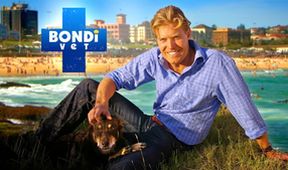 Veterinář z Bondi Beach X (10)