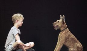Psi a my: Tajemství jednoho přátelství
