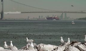 Na jachtě kolem New Yorku (3)