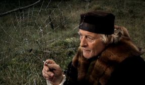 Mlýn a kříž, Kino Art