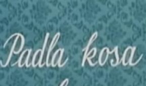 Padla kosa na kámen, Pohádka pro pamětníky