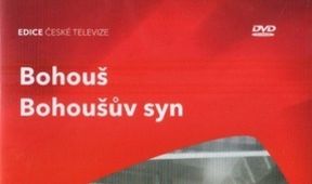 Bohoušův syn