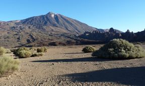 Na cestě po Tenerife