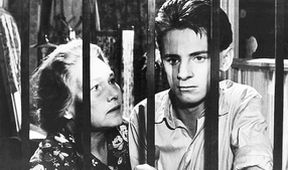 Romeo, Julie a tma