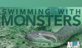 Plavání s monstry: Steve Backshall (4)
