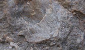 Cesta ke kameni (5/6)