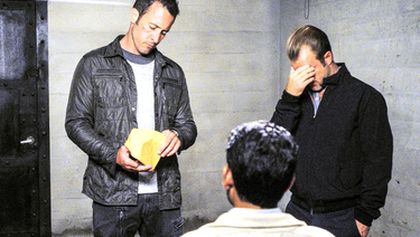 Hawaii 5-0 VII (2)