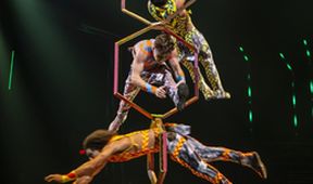 Cirque du Soleil: Volta